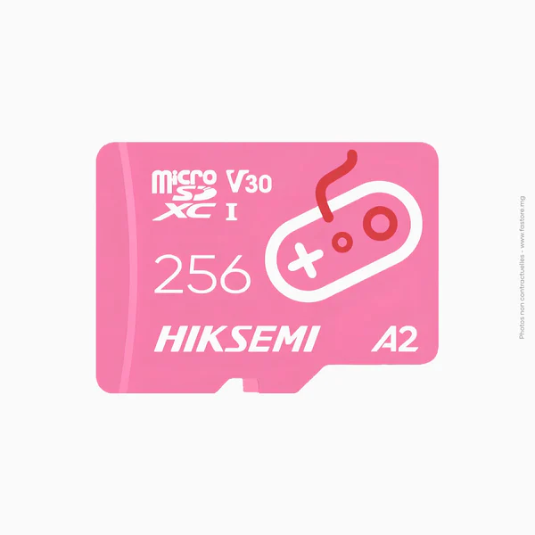 Carte micro-SD Hikvision | 256GB XC HS-TF-G2