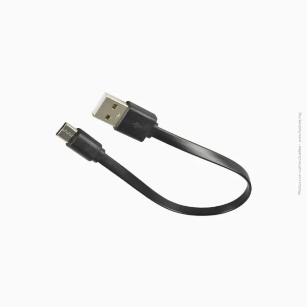 Câble USB à Type-C 20cm | Générique