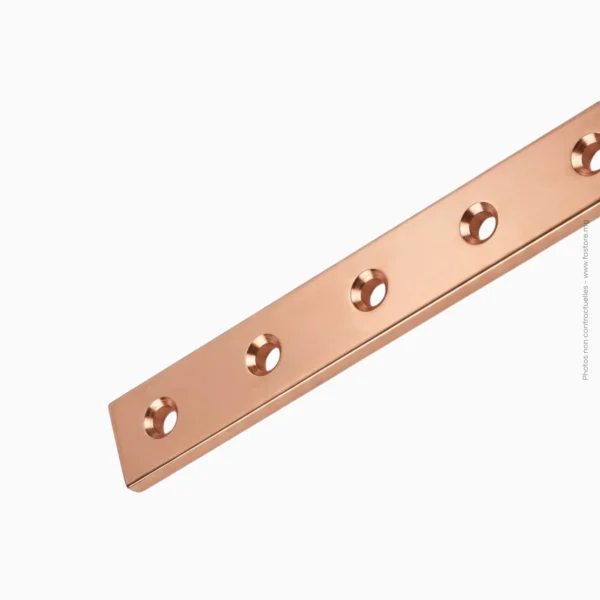 Barre de cuivre plate 10 trous | 245x24x5mm PROWATT